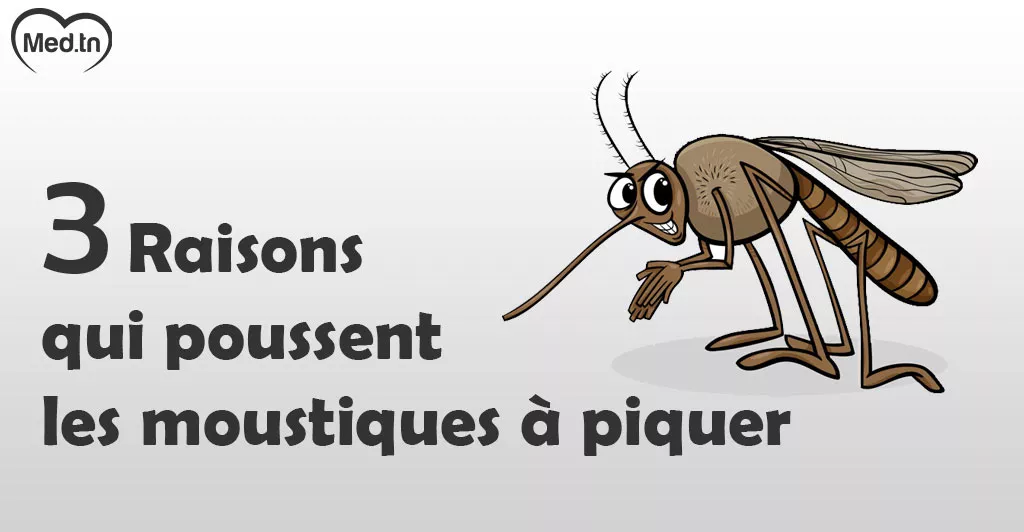 3 raisons qui poussent les moustiques à piquer